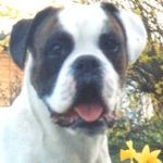 Ken Downs - @ken.downs.923 - Instagram