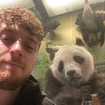 Ken Doyle - @_kendoyle - Instagram