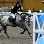 Ken Doyle Doyles Equestrian - @kendoyle_equestrian - Instagram