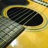 kendoyle617 - @kendoyle617 - TikTok