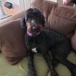 Ken Driver - @driverken - Instagram