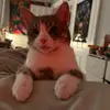 kiki - @kendurr_ - TikTok