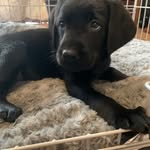 Ken Durrant - @ken.durrant.75 - Instagram