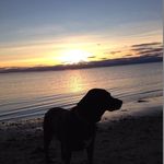 Ken Dwyer - @ken.dwyer.31 - Instagram