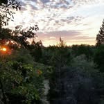Ken Elrod - @jomorhino23 - Instagram