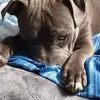 Kenneth Elrod - @kenneth.elrod5 - TikTok