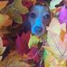 Kenneth Eslinger - Facebook