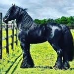 kenestrada - @kenestrada4786 - Instagram