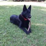 Kenneth Faircloth - @kenneth.faircloth - Instagram