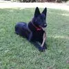 Kenneth Faircloth - @kenneth.faircloth - TikTok