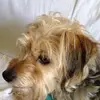 kennfaircloth - @kennfaircloth - TikTok