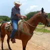 Ken Fanning - @ken.fanning - TikTok