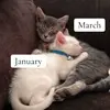 Kendra Farner - @kendra.farner - TikTok