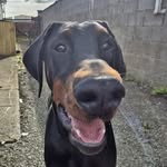 Ken Farrell - @ken.farrell.14 - Instagram