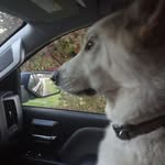 Ken Farrell - @kenfarrell75 - Instagram