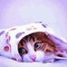Feedorh Kn - Facebook