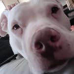 Ken Fedor - @funkaliscious - Instagram