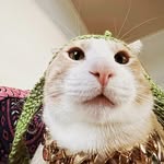 Kende Kósa-Fehér - @kendekosafeher - Instagram