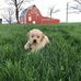 Ken Fehr - Facebook