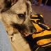 Kenny Fenton - Facebook