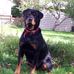 Ken Fielding - Facebook