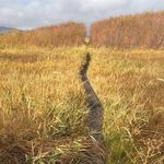 Ken Fields - @kenfields2854 - Instagram