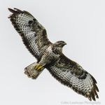 Ken Finlay Photography - @kenfinlayphotography - Instagram