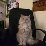 Ken Finlayson - @ken.finlayson.31 - Instagram