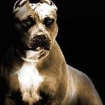 Ken Flanagan - @kenflan14 - Instagram