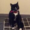 Ken Fleming - @kenfleming0 - TikTok