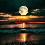 Ken Fleury - @ken.fleury.96 - Instagram