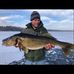 Kenny Fredrickson - Facebook