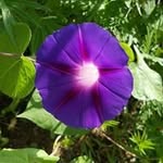 Ken Friend - @afriend_s721 - Instagram