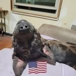 Ken Fries - @ken_fries - Instagram