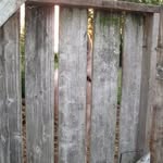 Ken Friesen - @ken.friesen.5 - Instagram