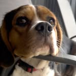 Ken Frost - @kenfrost2642 - Instagram