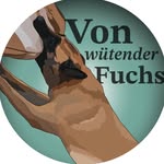 Belgian sheepherd kennel - @von_wutender_fuchs_kennel - Instagram