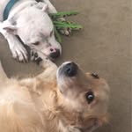 Ken Gaines - @kenner234 - Instagram