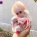 Ken Ganus - Facebook