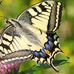 Kennith Gerlach - Facebook
