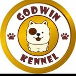 Godwin Kennel - @godwinkennel2 - Instagram