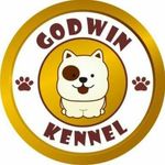 Godwin Kennels - @godwinkennels - Instagram