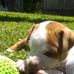 Ken Grier - Facebook