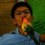 papoj - @kenguard - Instagram