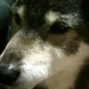 タカ - @kenguy - TikTok