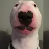 hadleykent679 - @hadleykent6790 - TikTok