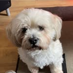 Kenneth Hague - @kenhague007 - Instagram