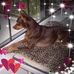 Ken Hardwick - Facebook