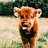 Kenaharp312 - @kenadie_312 - TikTok