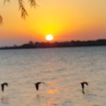 Ken Hartman - @trailerboy - Instagram